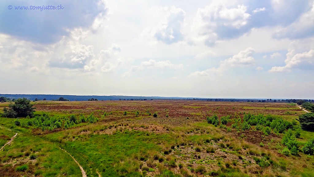 Geschiedenis Veluwe