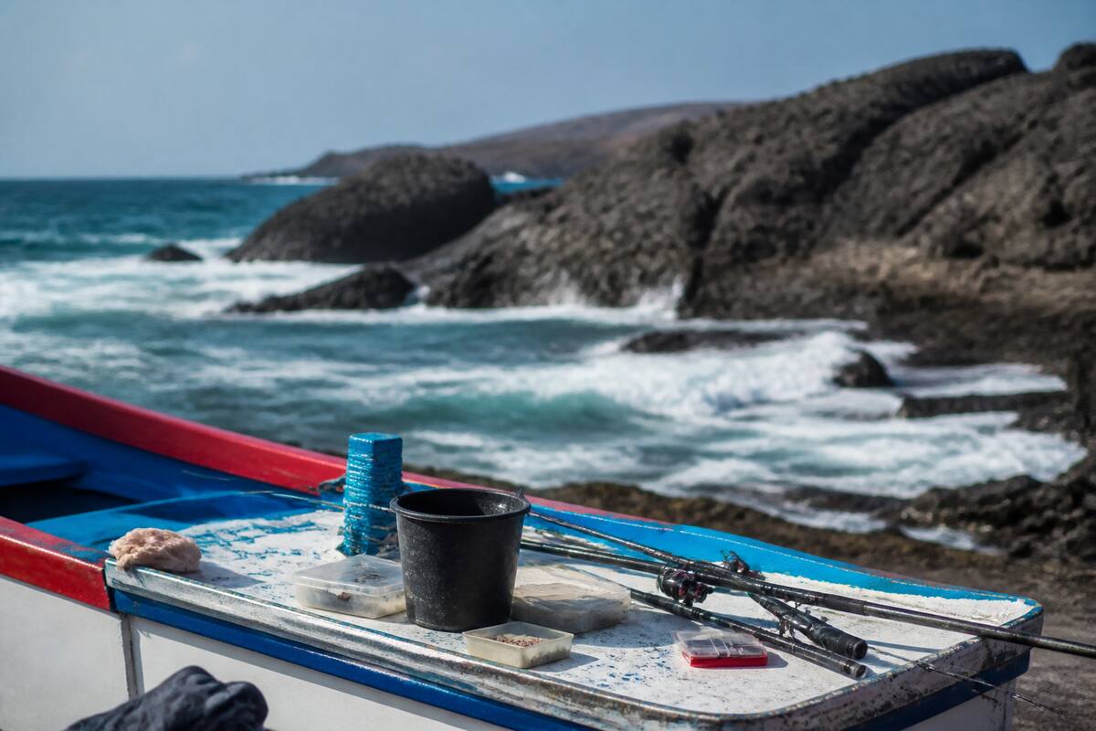 Checklistelementen voor vissen op Lanzarote: hengels en aas op een boot met rotsachtige kust op de achtergrond